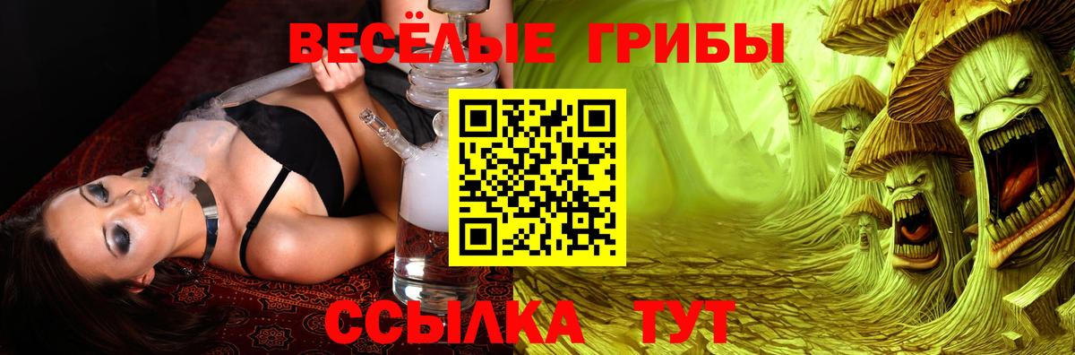 Галлюциногенные грибы GOLDEN TEACHER Касимов